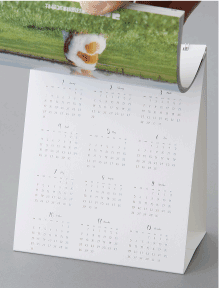 カレンダー台紙にもお好きなデザインをフルカラーで印刷できます