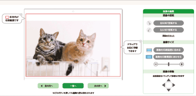 毎月お好みの写真や画像を入れられます